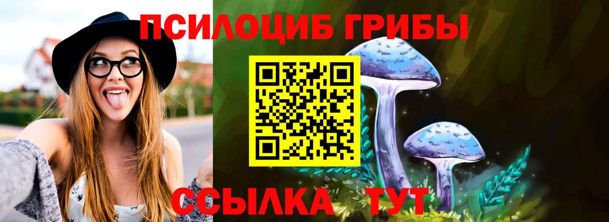 Псилоцибиновые грибы MAGIC MUSHROOMS  Вход с VPN  Холмск 